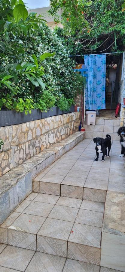 Jon Rooms Himare Bagian luar foto